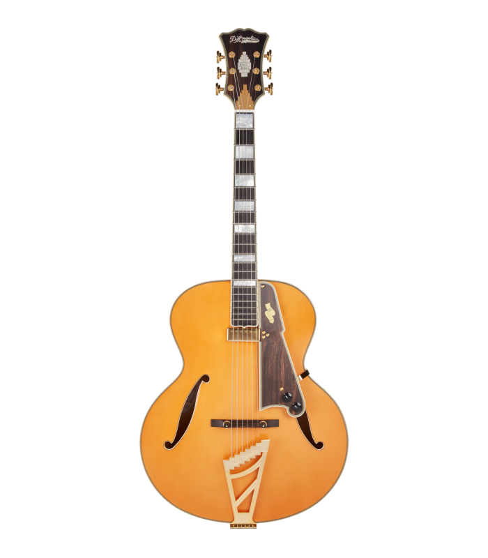 D'Angelico EXCEL STYLE B Vintage Natural električna gitara 