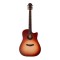 FURCH GREEN DC-SR SPE Master's Choice SB ozvzčena akustična gitara 