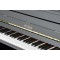 Petrof P 125 K1 polish black pianino