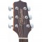 Takamine GD20CE-NS ozvučena akustična gitara