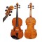 Master Academy V400 4/4 violina